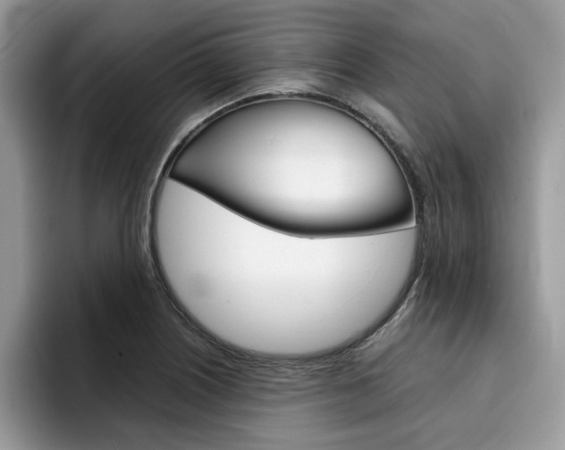 X0000094931226200711290954