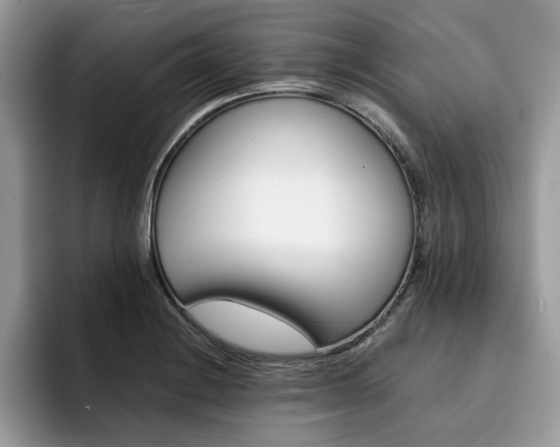 X0000094931228200711290954
