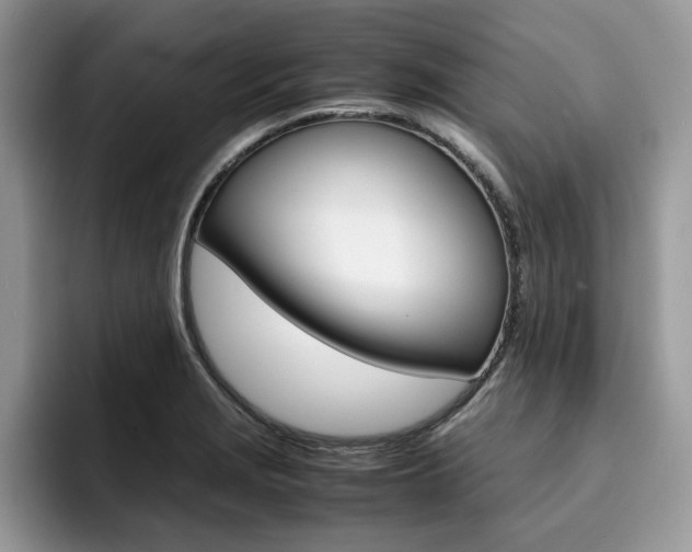 X0000094931229200711290954