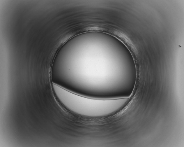 X0000094931233200711290954