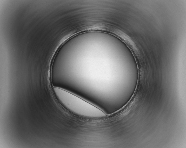 X0000094931234200711290954