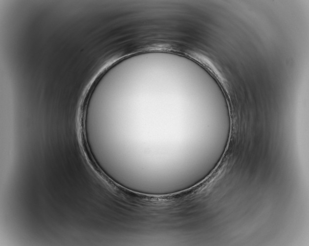 X0000094931235200711290954