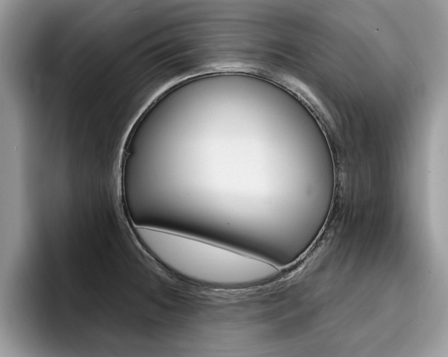X0000094931236200711290954