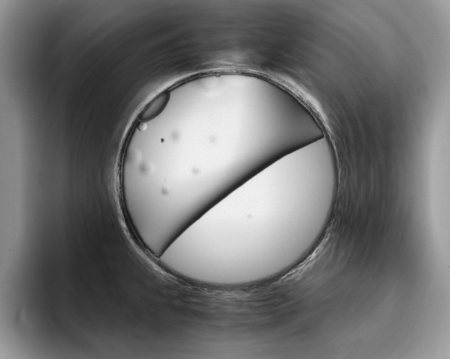 X0000094931239200711290954