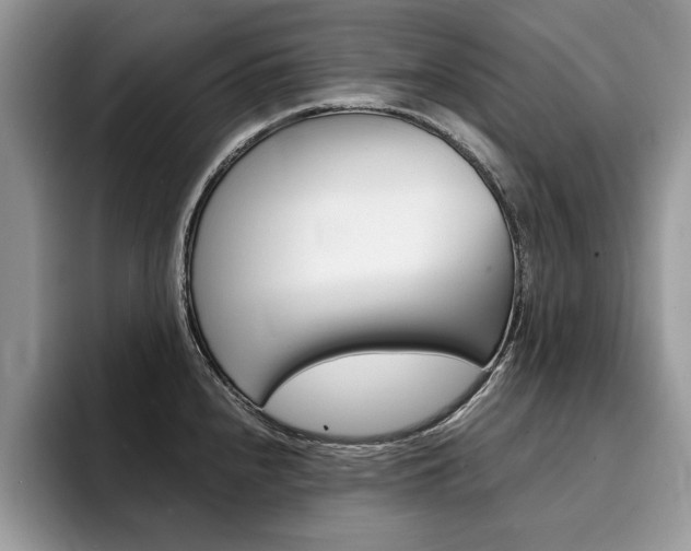 X0000094931240200711290954