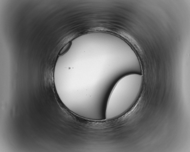 X0000094931241200711290954