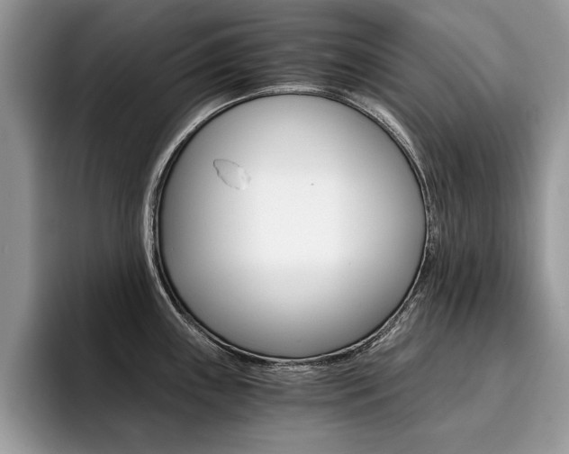 X0000094931243200711290954