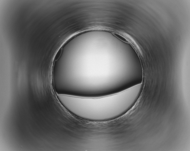 X0000094931244200711290954
