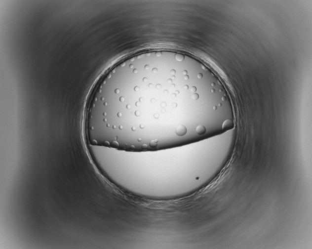 X0000094931245200711290955