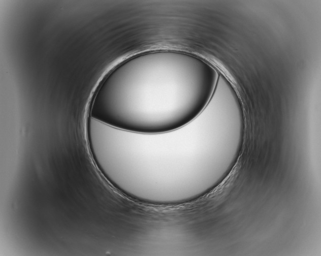 X0000094931246200711290955