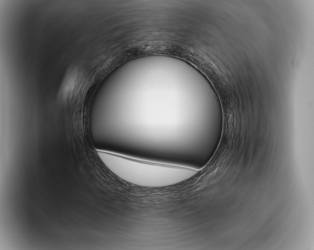 X0000094931250200711290954