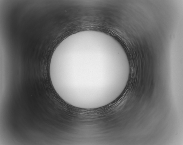 X0000094931252200711290954