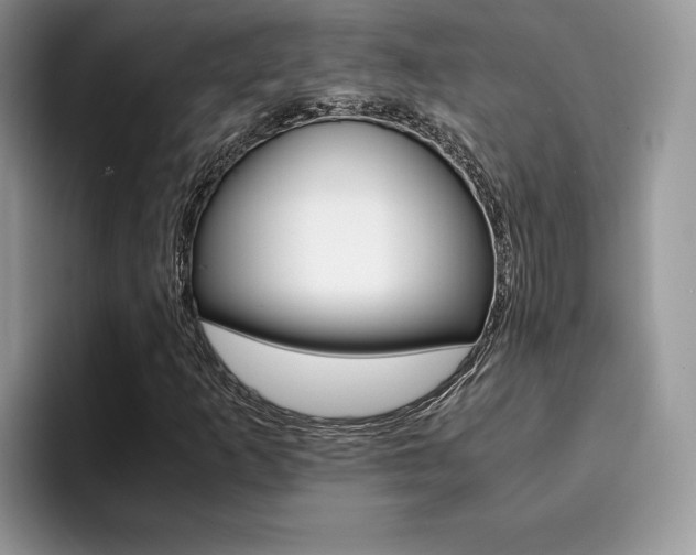 X0000094931253200711290954