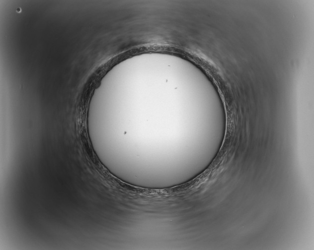X0000094931255200711290954