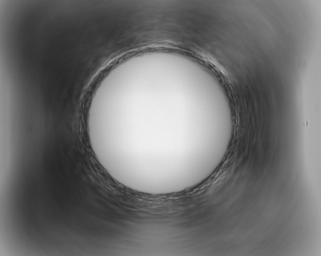 X0000094931256200711290954