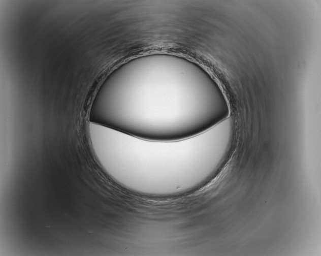 X0000094931257200711290954