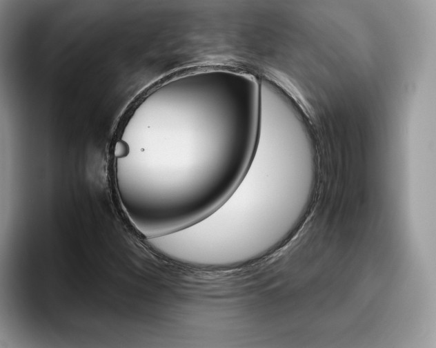 X0000094931260200711290954