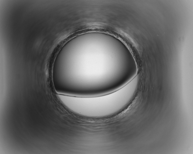 X0000094931261200711290954