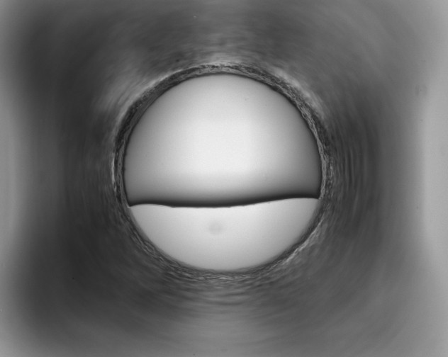 X0000094931262200711290954