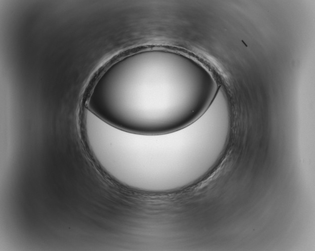 X0000094931264200711290954