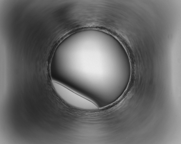 X0000094931265200711290954