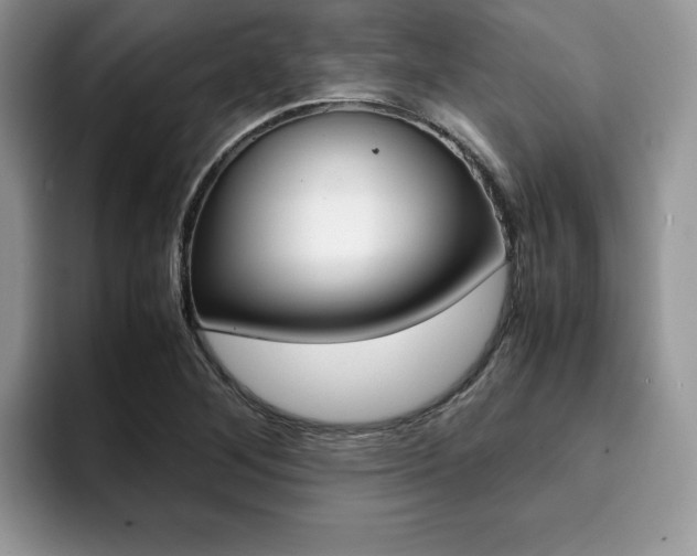 X0000094931268200711290954