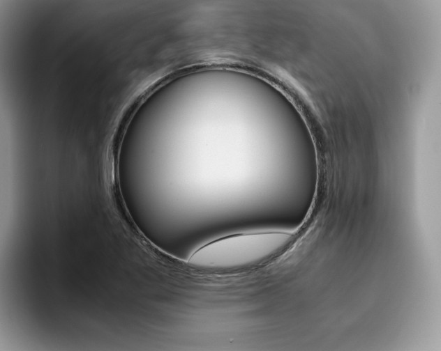 X0000094931269200711290954
