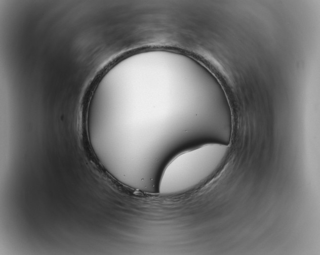 X0000094931270200711290954