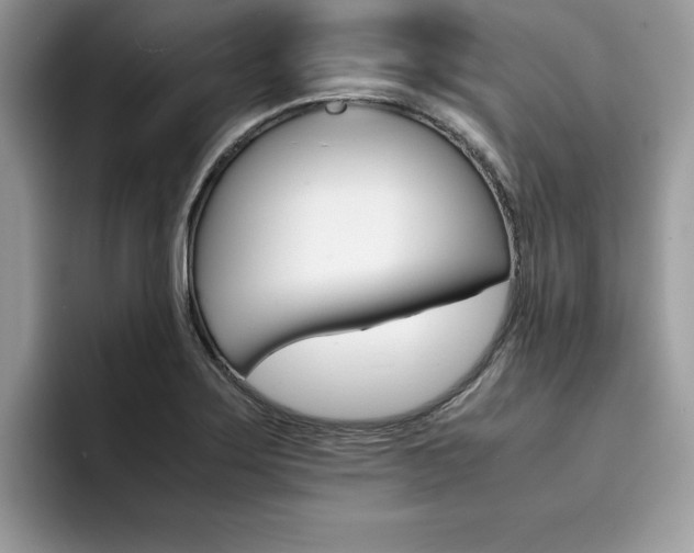 X0000094931275200711290954