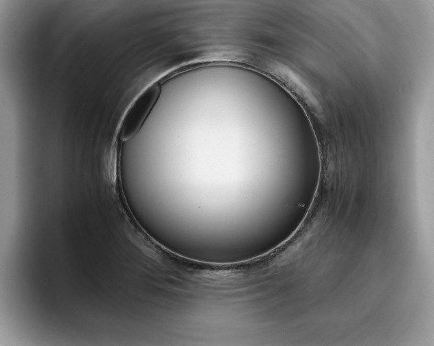 X0000094931276200711290954