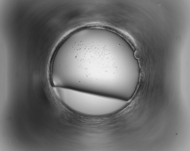 X0000094931279200711290954