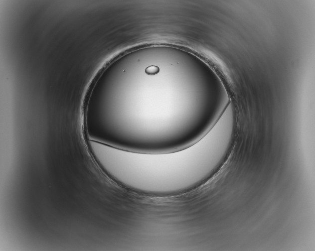 X0000094931280200711290954