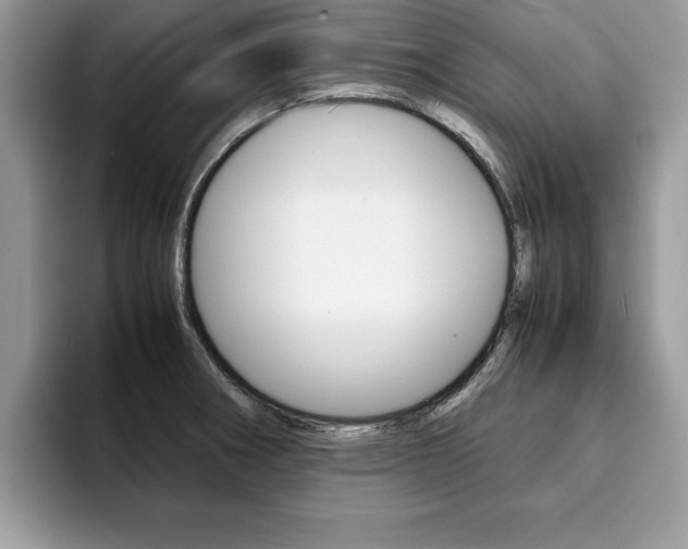 X0000094931282200711290953