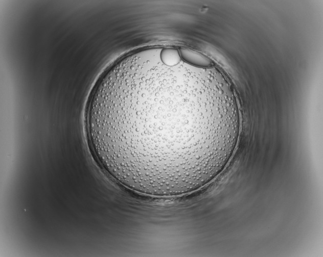 X0000094931283200711290953