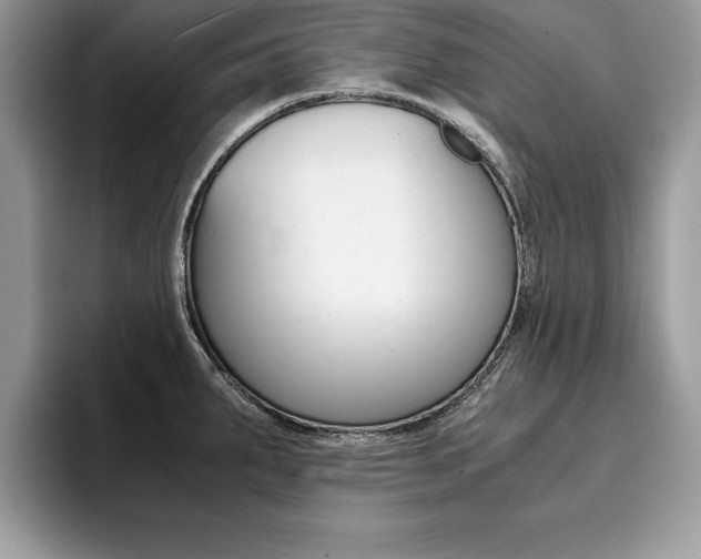 X0000094931287200711290953