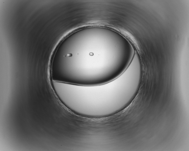 X0000094931288200711290953