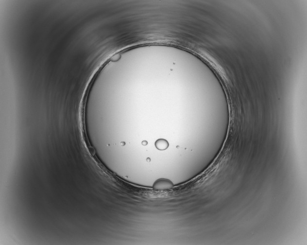 X0000094931291200711290953