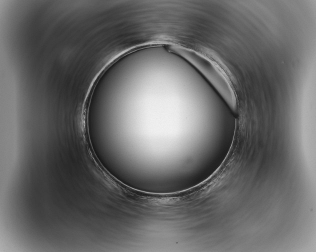 X0000094931292200711290953