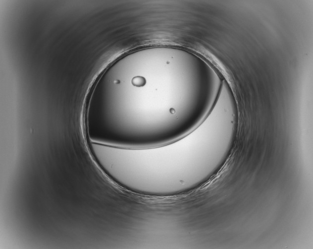 X0000094931293200711290953