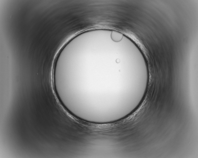 X0000094931294200711290953