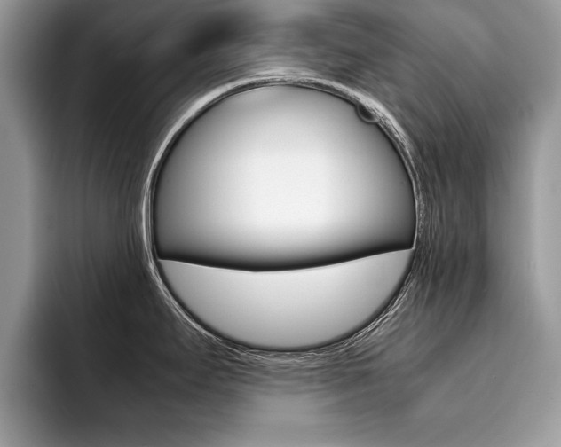 X0000094931295200711290953