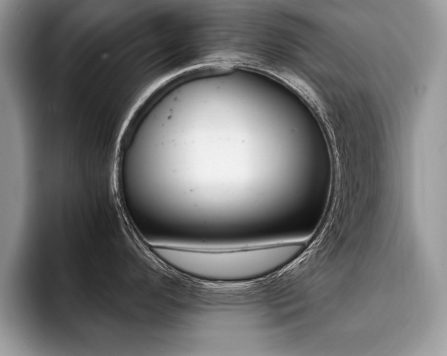 X0000094931296200711290953