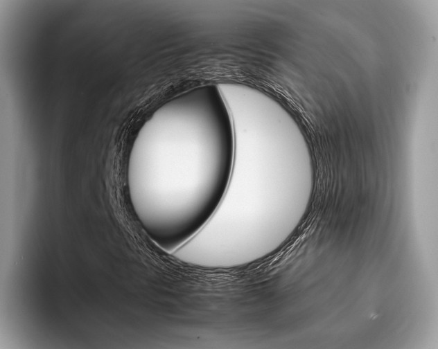 X0000094931297200711290953