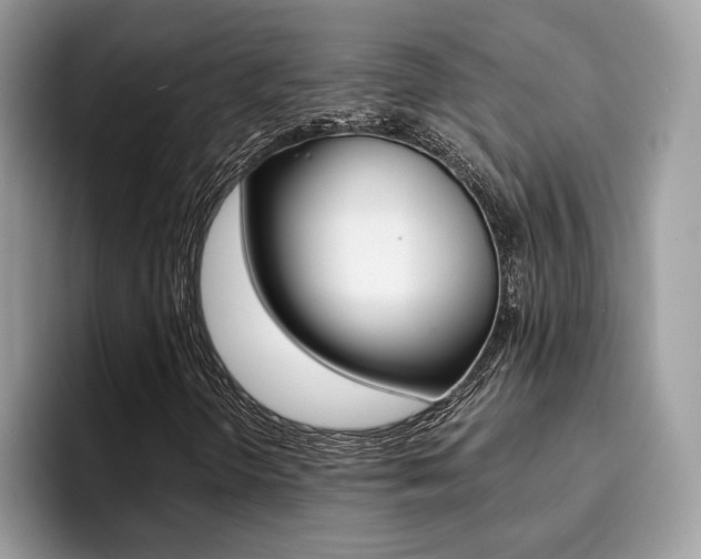 X0000094931298200711290953