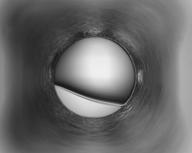 X0000094931299200711290953