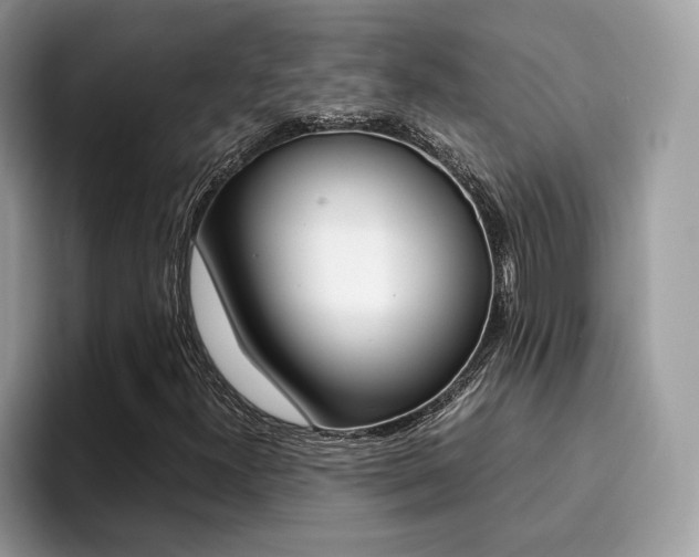 X0000094931300200711290953
