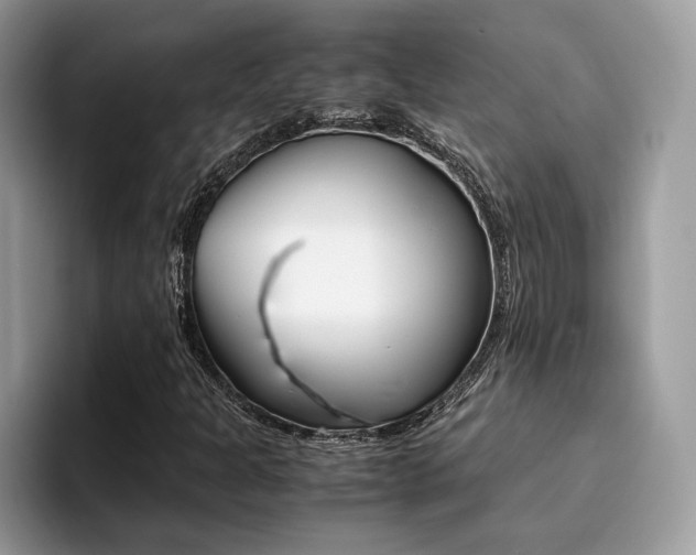 X0000094931301200711290953