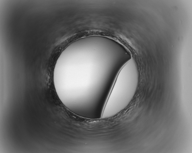 X0000094931303200711290953