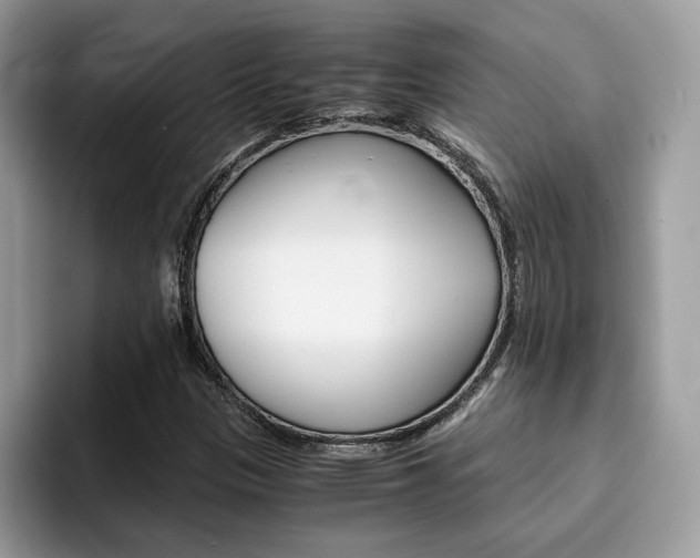 X0000094931305200711290953
