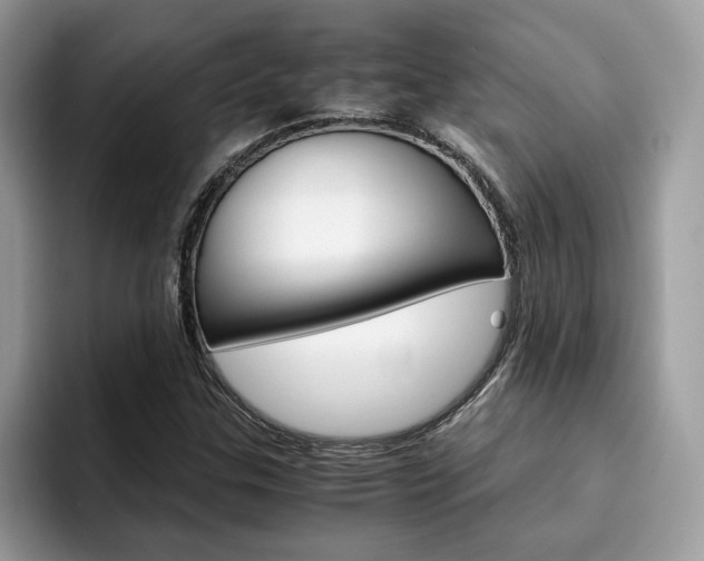 X0000094931307200711290953